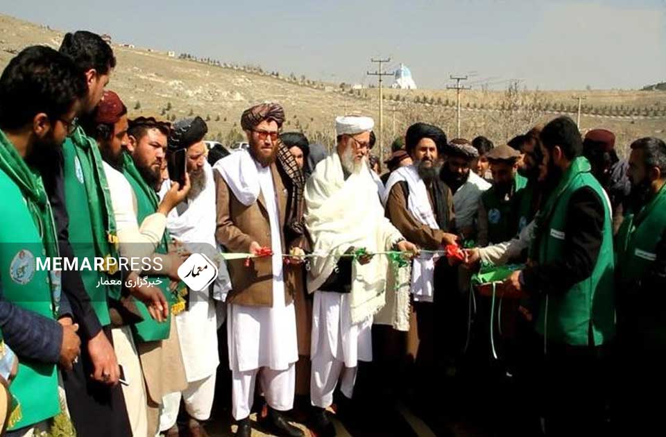 ملا برادر: د ککړ چاپېریال او وژونکو کیمیاوي توکو له اغېز څخه د خلاصون یوازېنۍ لاره د نیالګیو کېنول دي