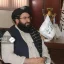کمیسیون تماس طالبان