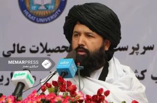 سرپرست وزارت تحصیلات عالی: ما در بخش تامین عدالت تحصیلی توجه خاص داریم