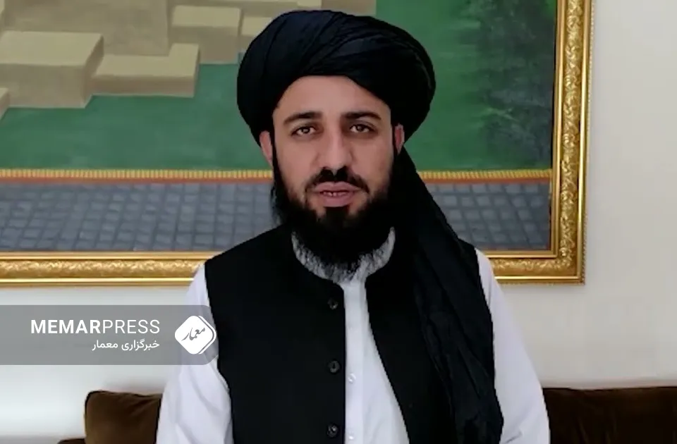 عبدالحق حماد: اقدامات مطیع‌الله ویسا مشکوک بوده و حکومت او را بازداشت کرده