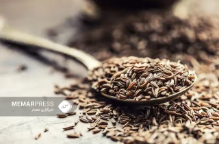 وزارت صنعت و تجارت: در سال گذشته به ارزش ۳۹ میلیون دالر زیره صادر شده است