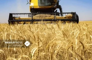 هند از کمک ۱۰ هزار تنی گندم به افغانستان خبر می دهد