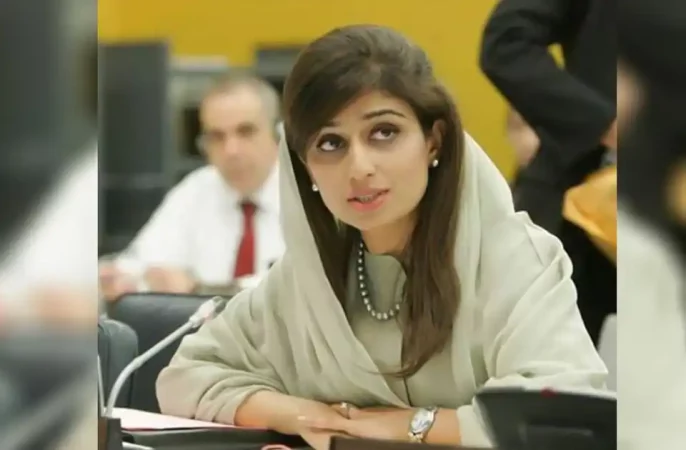 حنا ربانی: پاکستان با وجود چالش‌های اقتصادی، مرزهایش را به روی پناهندگان گشوده است