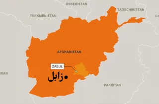 قطع 150 درخت انجیر در ولایت زابل