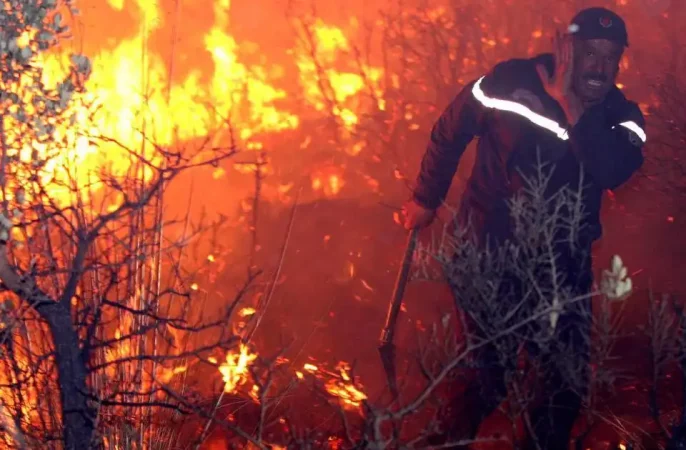 آتش‌سوزی در جنگل های الجزایر 15 کشته برجای گذاشت