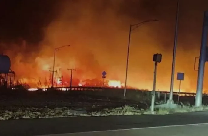 آتش‌سوزی‌ در جنگل های هاوایی امریکا، 36 کشته برجای گذاشت
