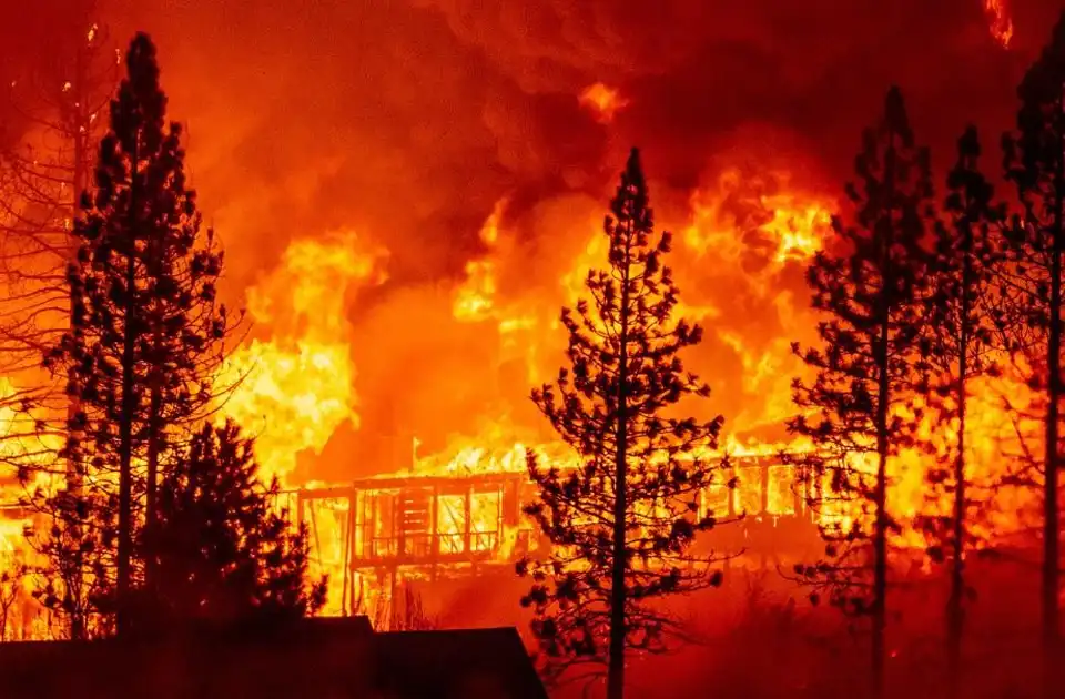 شمار جان‌باختگان آتش‌سوزی‌های جنگل‌های امریکا به 80 تن رسید