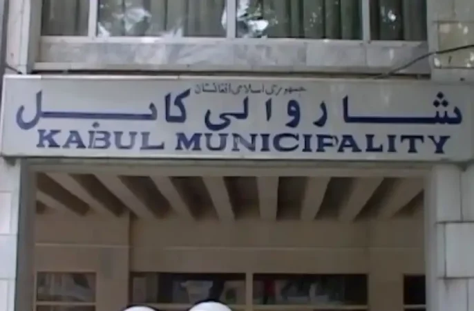 شاروالی کابل برای اصناف مختلف در شهر کابل جواز جدید صادر می کند
