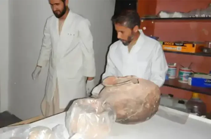 طالبان از کشف ۸۰ قلم آثار تاریخی دوره‌های کوشانی و ساسانی خبر داد