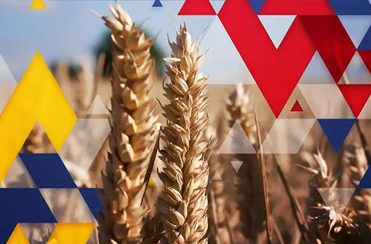 اخبار اوکراین؛ تشدید اختلاف بر سر واردات غلات اوکراین در اروپا