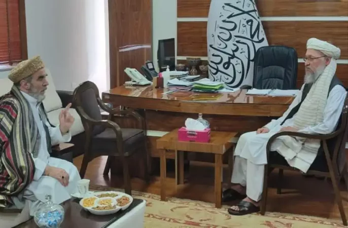 حنفی : دولت طالبان تعلیم و تربیت حق مسلم مردم و از تعهدات اساسی خویش می‌داند