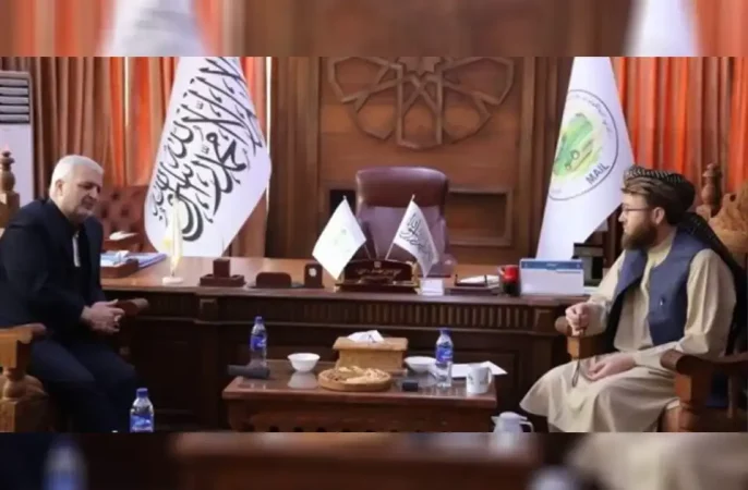 وزیر زارعت طالبان در دیدار با سفیر ایران در کابل بر همکاری در زمینه کشاورزی تاکید کردند