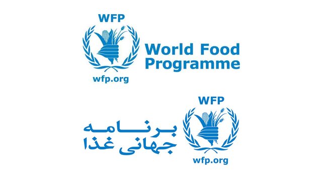 برنامه جهانی غذا