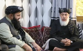 ستانکزی memarpress