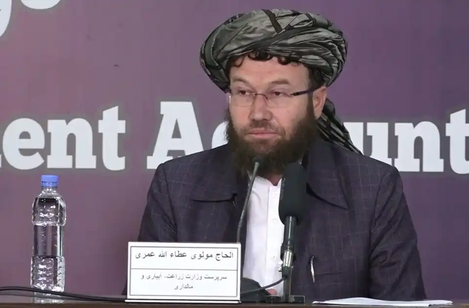 طالبان: در شش ماه گذشته به ارزش ۲ میلیارد دالر محصولات زراعتی صادر کردیم