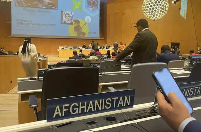 نمایندگی افغانستان در جنوا از عدم ایجاد مکانیسم تحقیقی مستقل برای وضعیت حقوق بشر ابراز ناامیدی کرد