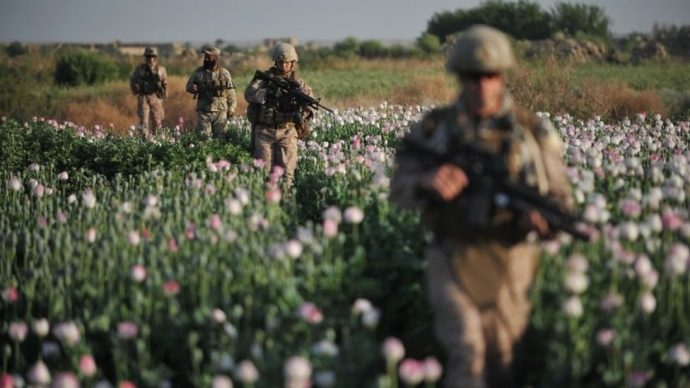مددوف : طالبان در کاهش مواد مخدر کاری کرد که آمریکا در ۲۰ سال نتوانست