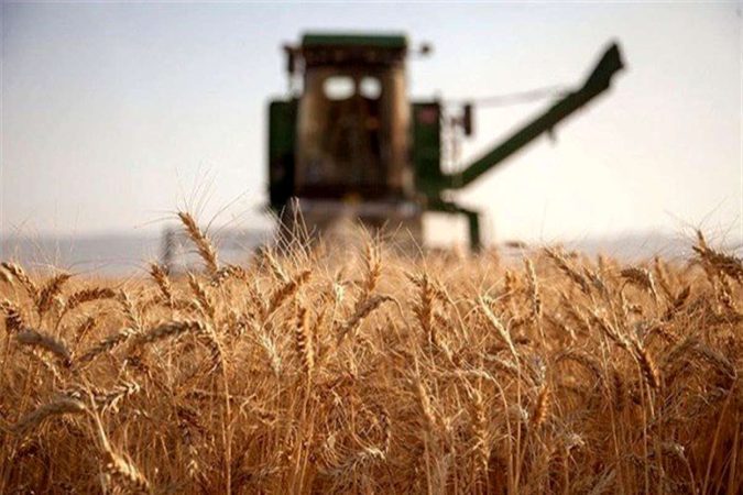 روسیه 200 هزار تن گندم به آفریقا می‌فرستد