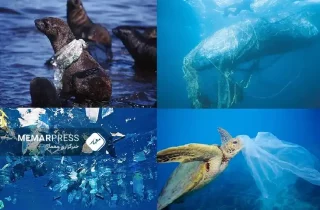 مذاکره جهانی بر سر معاهده جلوگیری از آلودگی پلاستیکی و تولید محدود آن