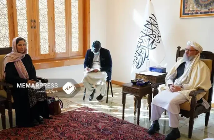 دیدار و گفتگوی حنفی با نماینده اتحادیه اروپا درباره اخراج جمعی پناهجویان افغانستان از پاکستان