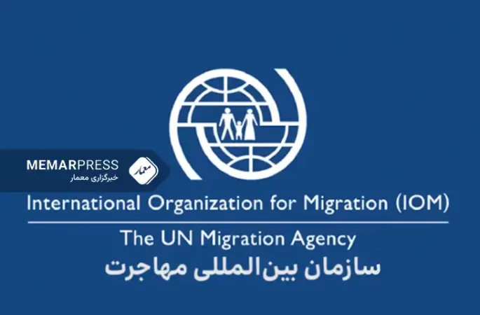 سازمان بین‌المللی مهاجرت: اخراج اجباری پناهجویان افغانستانی را متوقف کنید