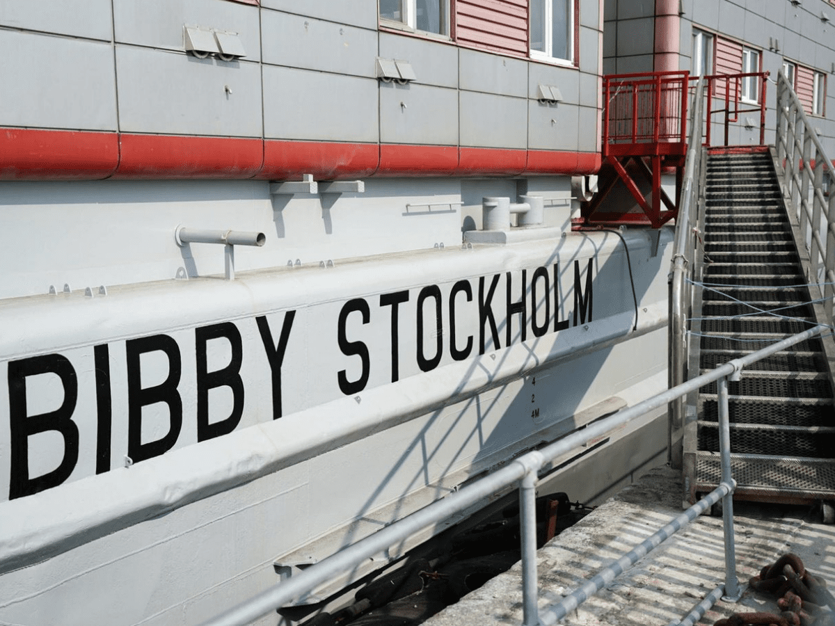 کشتی بیبی استکهلم بریتانیا قتلگاه ، مرد پناهجو