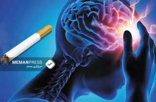 سیگار کشیدن مغز را کوچک می کند