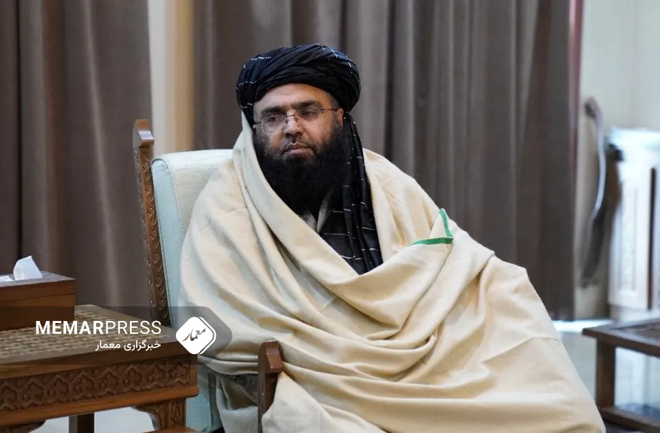 طالبان : اختلاف میان پشتو و فارسی، دستاورد مجاهدین قدرت‌طلب است