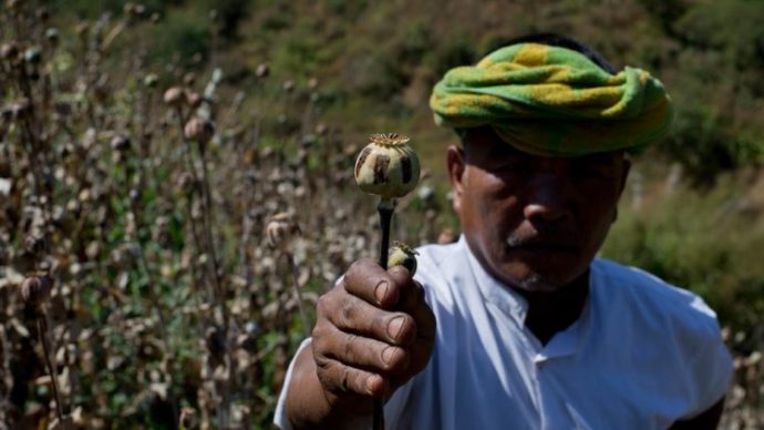 میانمار جای افغانستان را در تولید تریاک گرفت
