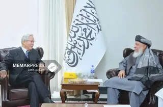 طالبان خواستار همکاری جاپان در زمینه‌های آموزش، کشاورزی، صحت و محیط زیست شد