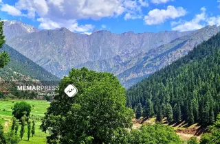 آتش‌سوزی در جنگلات نورستان