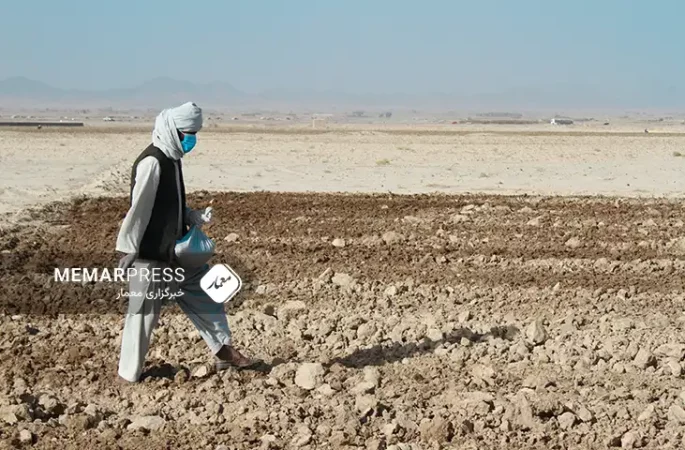 فائو : ادامه خشک‌سالی دغدغه‌ی اصلی کشاورزان افغانستان است