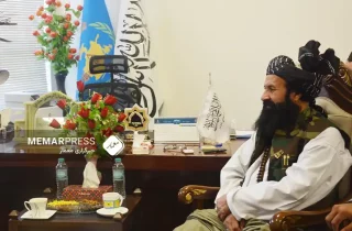 وزارت مهاجرین طالبان از بازگشت بیش از یک میلیون افغان طی یک سال گذشته به افغانستان خبر داد