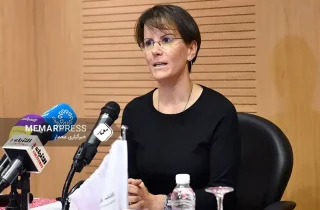ریم آلسالم، گزارشگر ویژه سازمان ملل