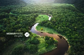 کشف یک شهر باستانی ۲۵۰۰ ساله در جنگل‌های آمازون