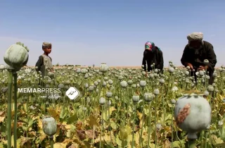 هند : تغییر رژیم در میانمار و افغانستان تجارت مواد مخدر را افزایش داده است