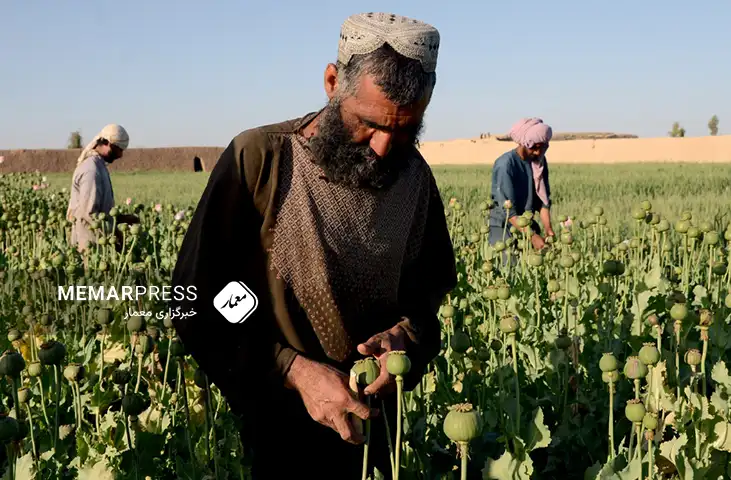 تاجیکستان: علی‌الرغم ادعای طالبان، هیچ نشانه‌ای از کاهش قاچاق مواد مخدر در افغانستان وجود ندارد