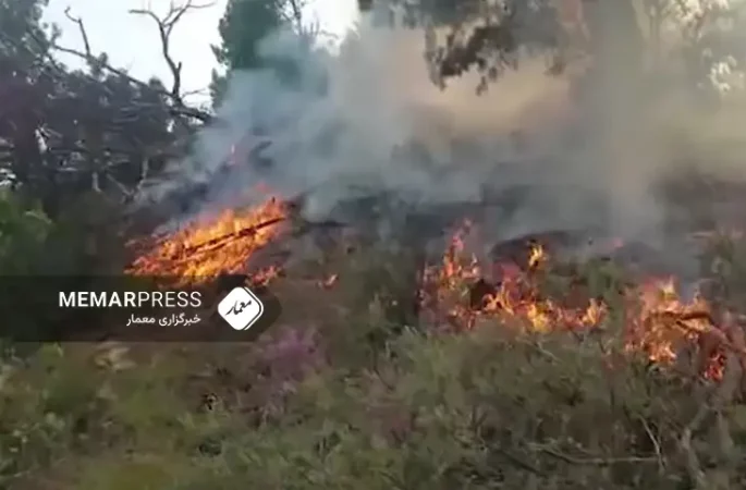 منابع از آتش زدن جنگلات منطقه مرزی افغانستان با تاجیکستان خبر دادند