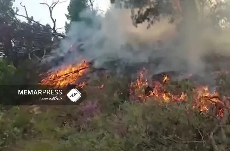 منابع از آتش زدن جنگلات منطقه مرزی افغانستان با تاجیکستان خبر دادند