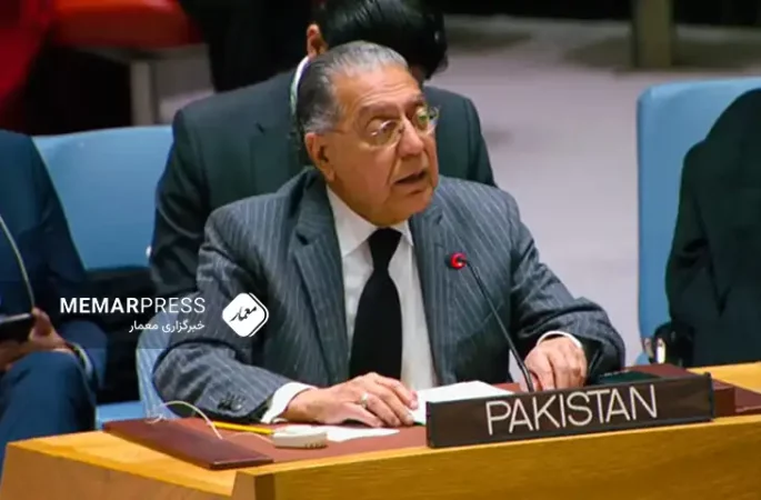 نماینده‌ پاکستان : سازمان ملل ارتباط طالبان با تی‌.تی‌.پی را قطع کند