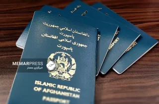 متوقف شدن رومد توزیع پاسپورت در دایکندی