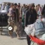 وزارت مهاجرین طالبان : دستکم هزار مهاجر در یک روز گذشته از پاکستان اخراج شدند
