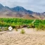 اوچا : دستکم ۱۰ هزار هکتار زمین کشاورزی در افغانستان در سیلاب‌های اخیر ویران شده‌اند