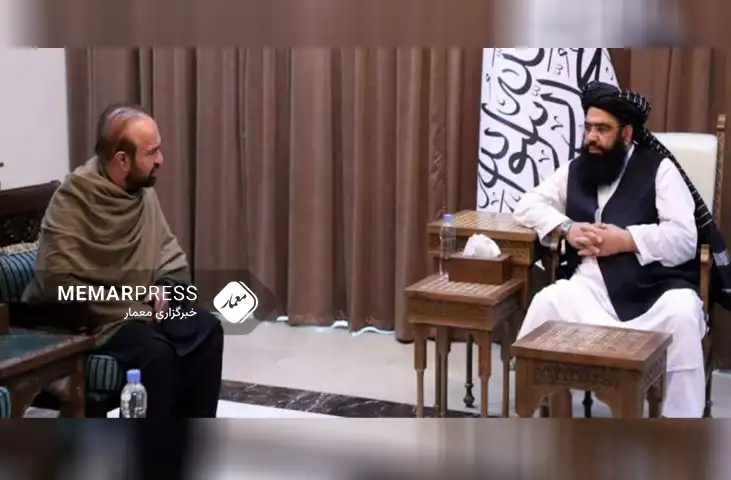 طالبان خواستار بازگشت شهروندان افغانستانی مقیم خارج به وطن شد