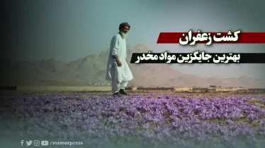 کشت ‌زعفران، بهترین جایگزین مواد مخدر