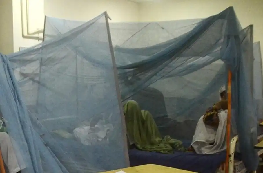 مرگ صدها نفر در بنگلادش به دلیل تب دنگی