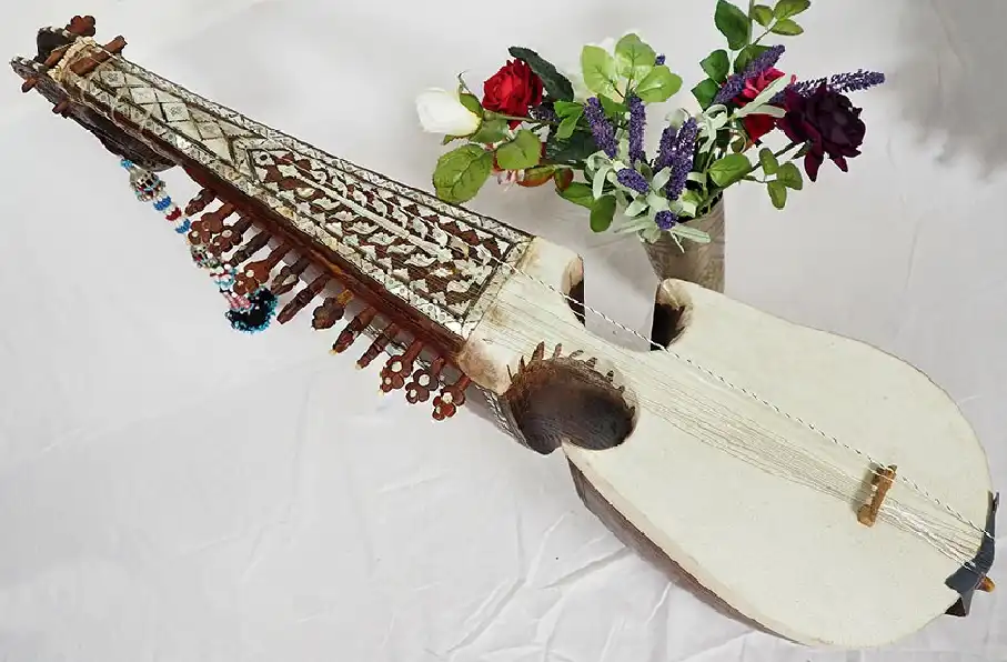 ساز رُباب به عنوان میراث فرهنگی افغانستان و سه کشور همسایه در یونسکو ثبت شد