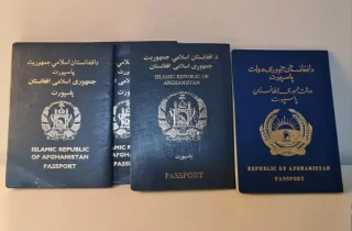 ایران از آغاز طرح تمدید ویزای گذرنامه های خانواری مهاجرین خبر داد