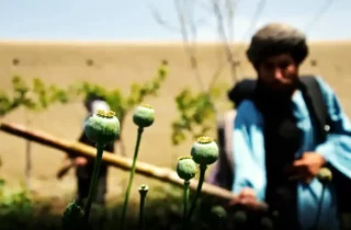 طالبان: مواد مخدر صنعتی از کشورهای دیگر وارد افغانستان می‌شود