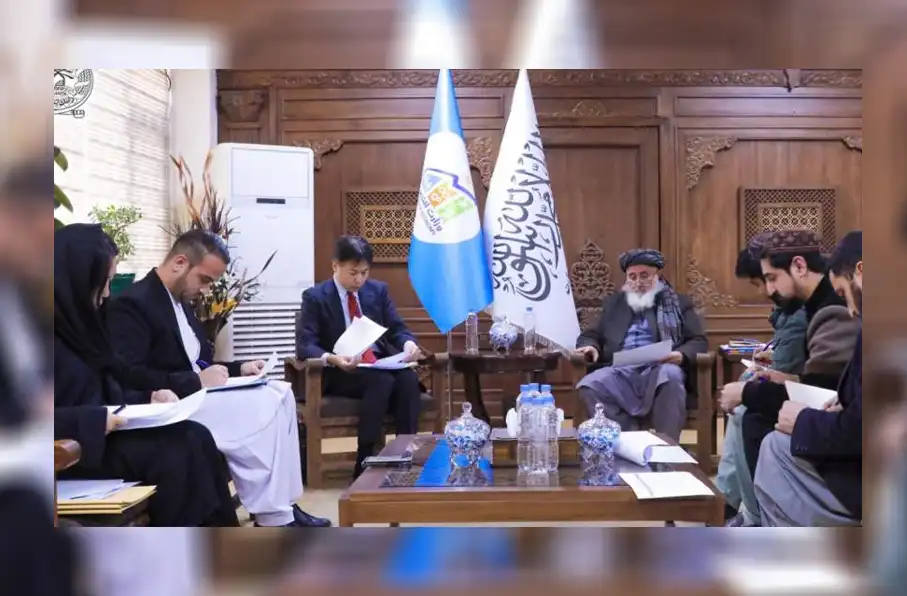 تأکید مقامات طالبان و جاپان بر تداوم همکاریهای اقتصادی